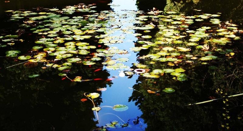 Осенний день в зеленом сердце Баку
