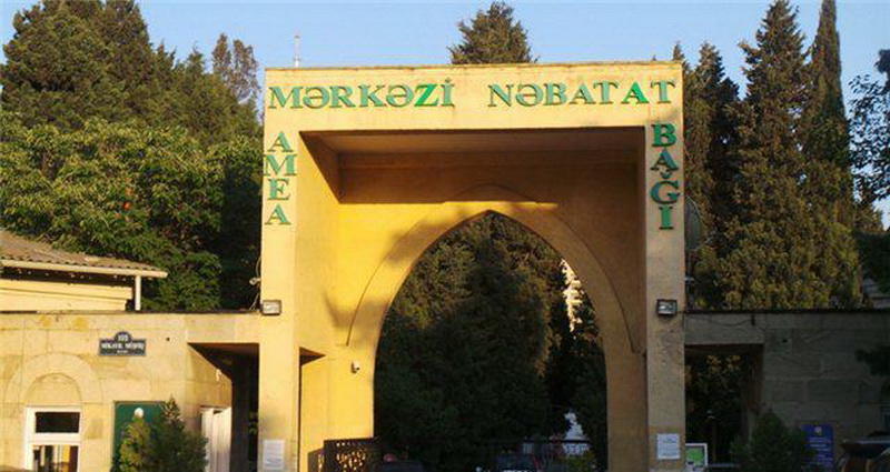 Осенний день в зеленом сердце Баку