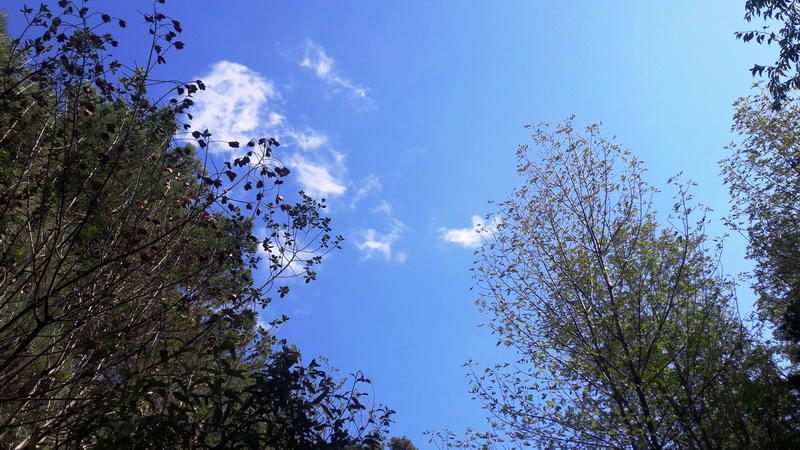 Осенний день в зеленом сердце Баку