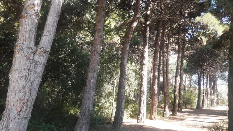 Осенний день в зеленом сердце Баку