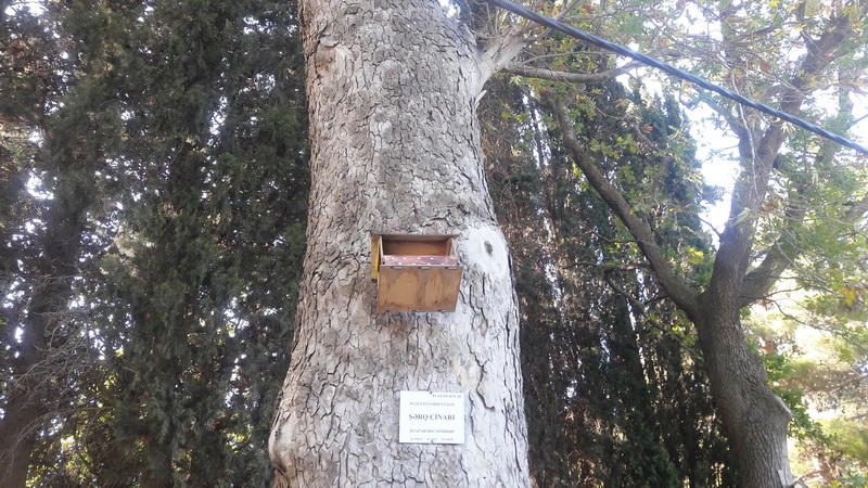 Осенний день в зеленом сердце Баку