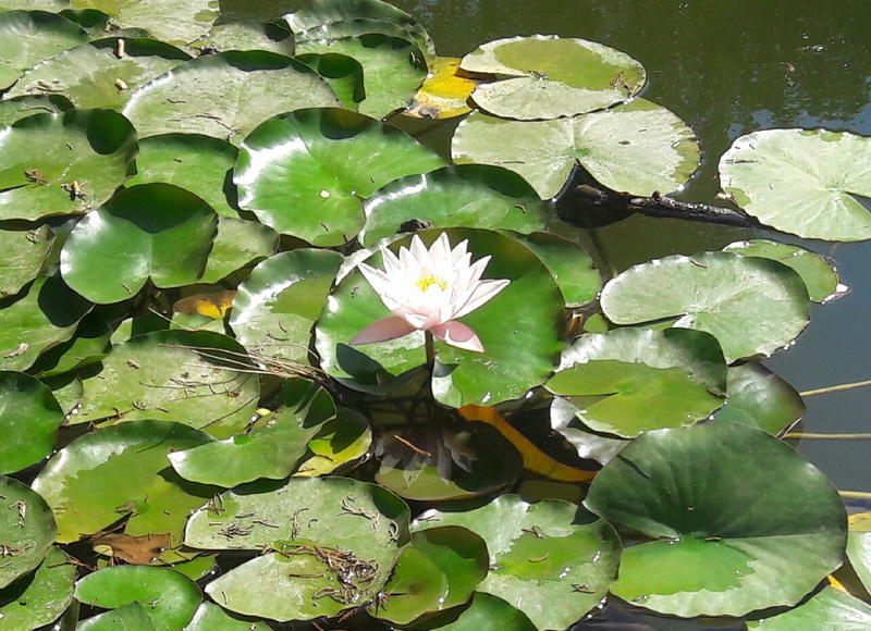 Осенний день в зеленом сердце Баку