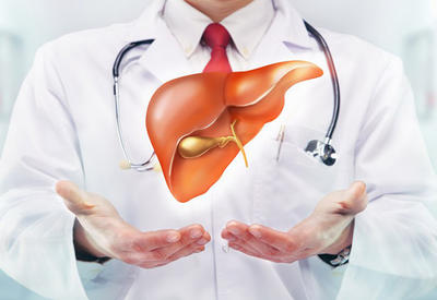 5 золотых правил по уходу за своей печенью