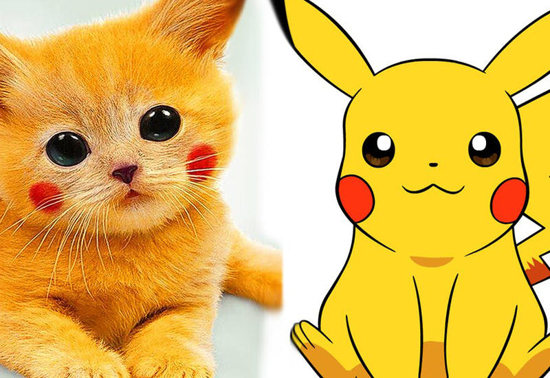 10 покемонов, которые существуют в реальной жизни