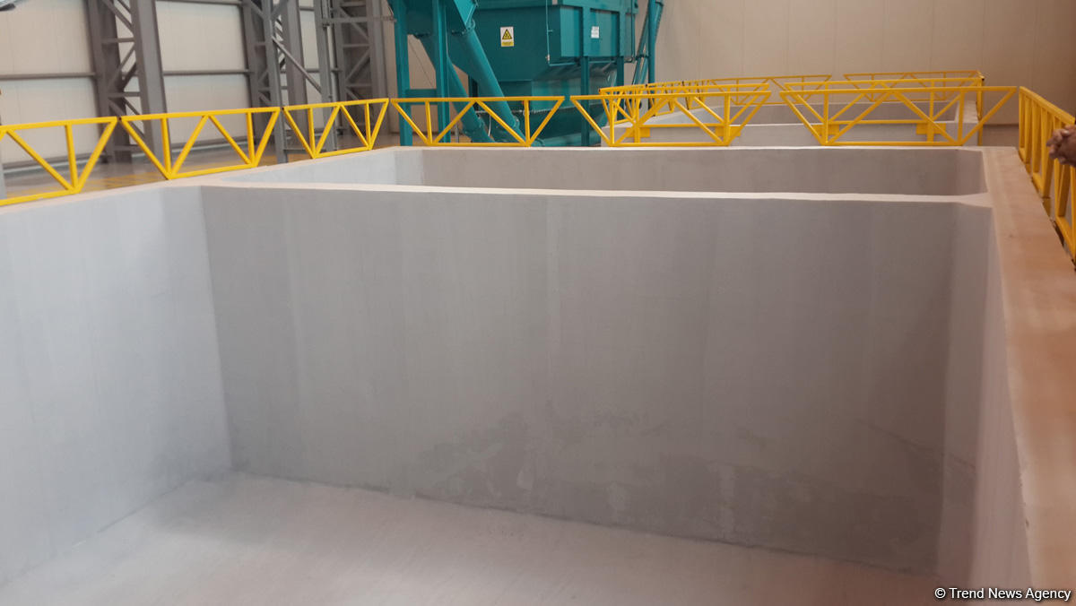 SOCAR и BP запустили совместный проект