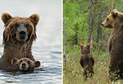 15 фото, доказывающих, что мама - лучший охранник, учитель и друг