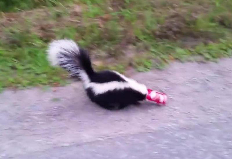 Канадец совершил "самый храбрый поступок" в своей жизни