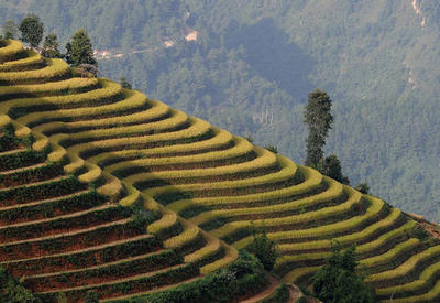 Красивые террасы со всего мира <span class="color_red">- ФОТО</span>