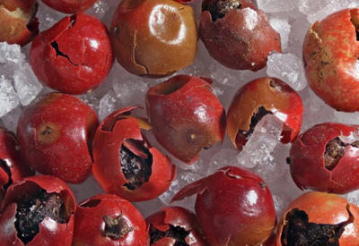 Мир под микроскопом: конкурс микрофотографии Королевского фотографического общества <span class="color_red">- ФОТО</span>