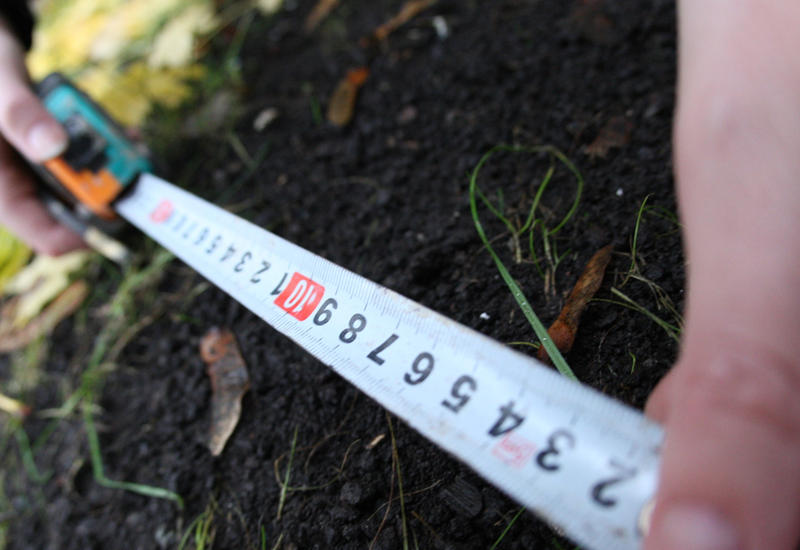 В Азербайджане снижена арендная плата этих участков