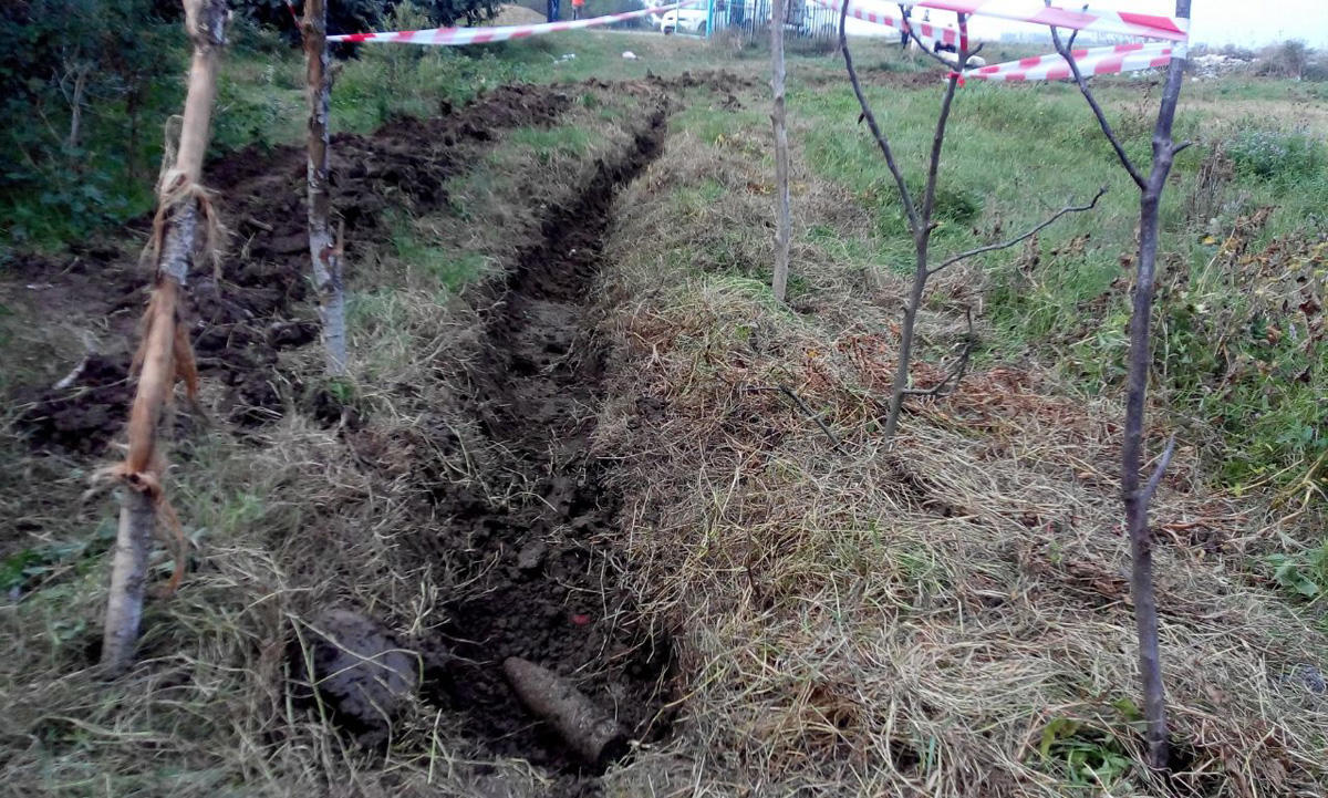 В Ширванском национальном парке нашли неразорвавшиеся боеприпасы