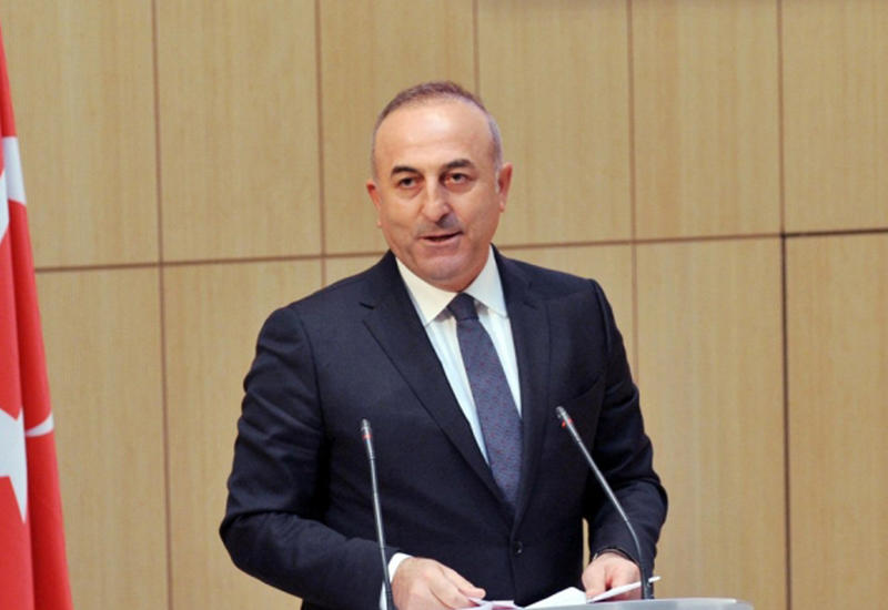 Çavuşoğlu: "Niderland hakimiyyəti Türkiyədən üzr istəməlidir"