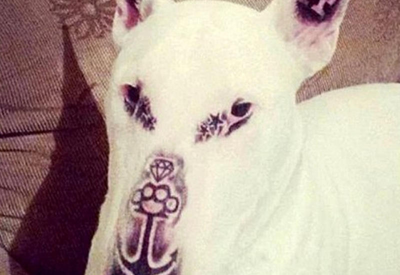 Этот поступок тату-мастера возмутил соцсети Бразилии