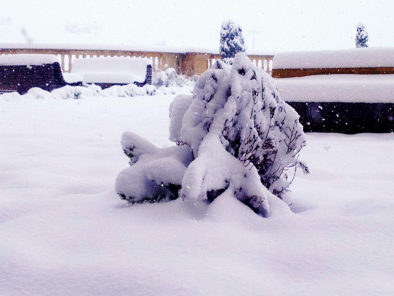 В Азербайджане выпал снег