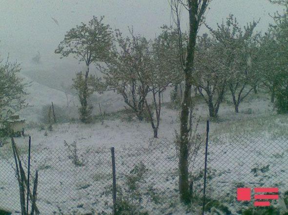 Cənub bölgəsinə ilk qar yağdı