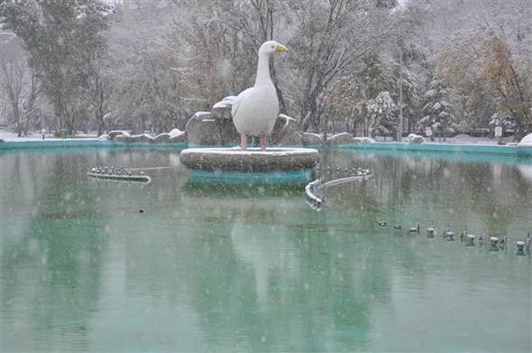 Türkiyəyə mövsümün ilk qarı yağdı