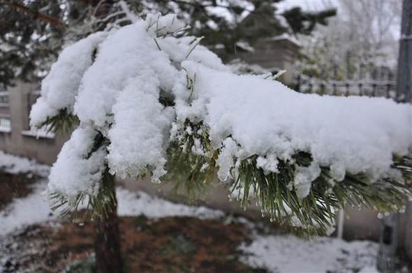 Türkiyəyə mövsümün ilk qarı yağdı