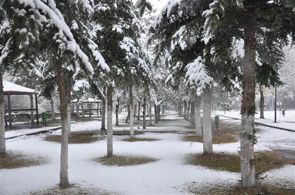 Türkiyəyə mövsümün ilk qarı yağdı