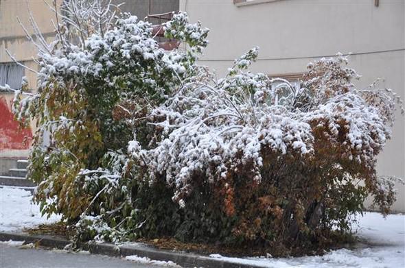 Türkiyəyə mövsümün ilk qarı yağdı