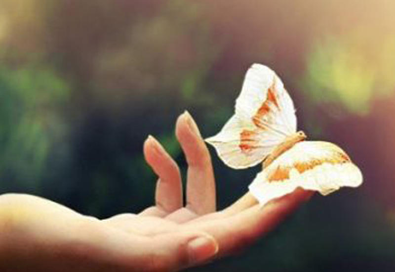 Müxtəlif dövrlərdə "gözəllik" anlayışı