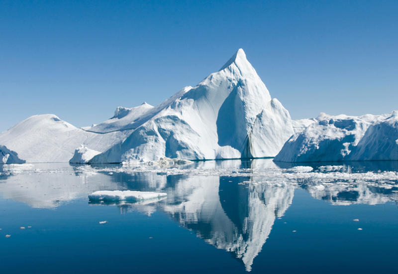 Уникальная находка российских ученых в Арктике