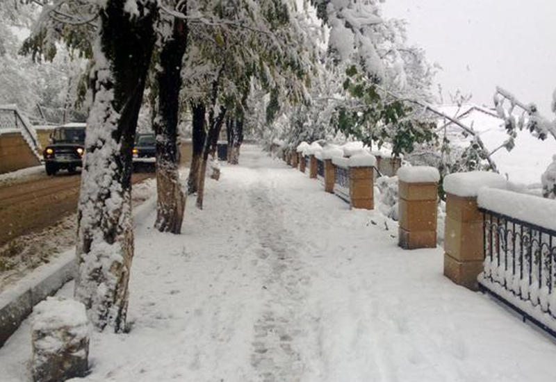 Lerikdə qar yağdı: elektrik və rabitə xətləri sıradan çıxdı