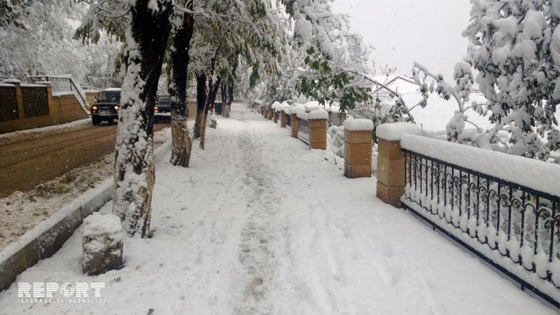 Lerikdə qar yağdı: elektrik və rabitə xətləri sıradan çıxdı