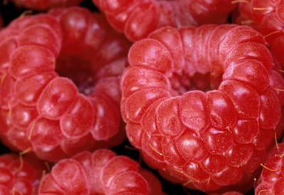 15 продуктов, которые можно есть на ночь <span class="color_red">- ФОТО</span>