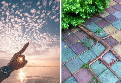 19 идеальных снимков, которые доставят вам удовольствие <span class="color_red">- ФОТО</span>