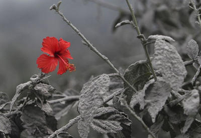 15 реальных фотографий, которые лучше любой обработанной! <span class="color_red">- ФОТО</span>