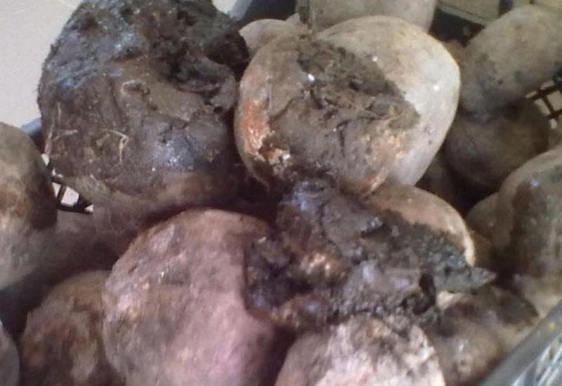 Adi səhv bütün ailəni öldürdü