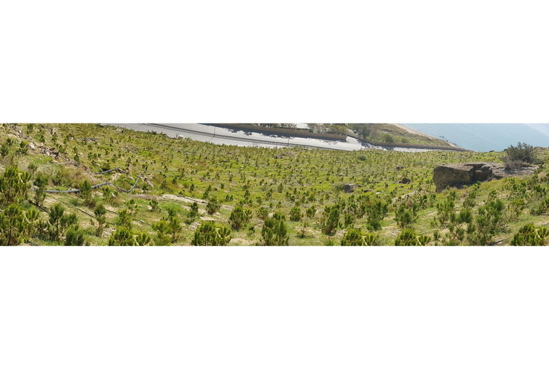 В Баку создается новый крупный парк