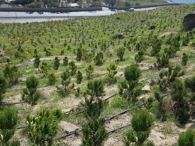В Баку создается новый крупный парк