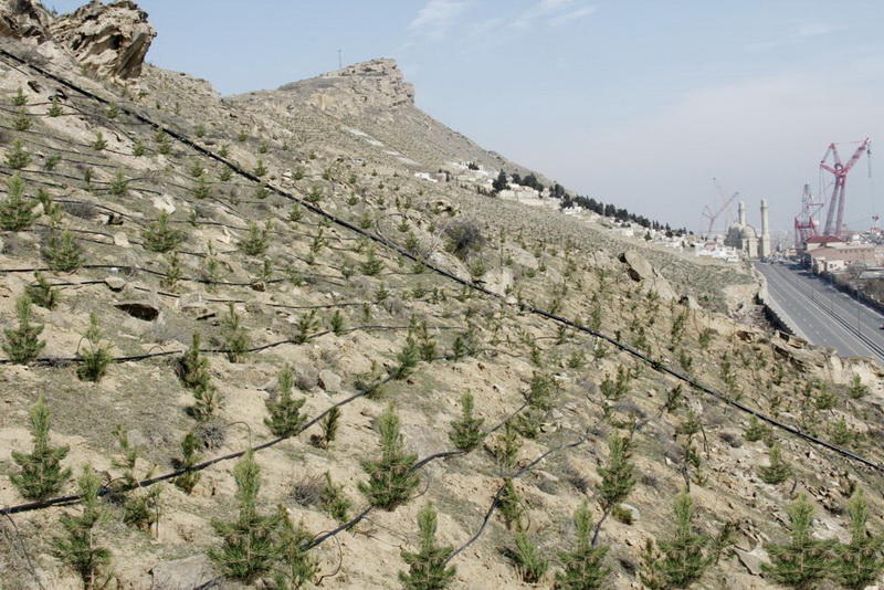 В Баку создается новый крупный парк
