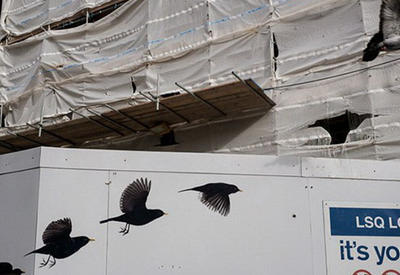 Фотографии, в которых удачное время и место сыграли ключевую роль <span class="color_red">- ФОТО</span>