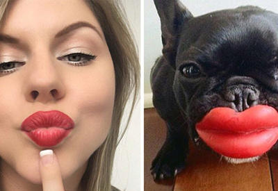 20 фотографий, где собаки удивительно похожи на людей <span class="color_red">- ФОТО</span>