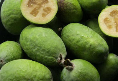 1000 и 1 полезное свойство ягоды фейхоа для здоровья и молодости <span class="color_red">- ФОТО</span>