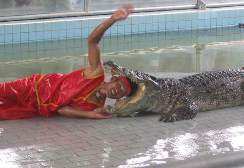 Самые опасные профессии в мире