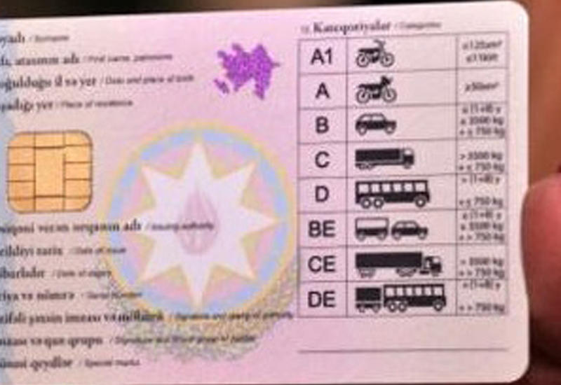 Удостоверения личности и водительские права могут объединить