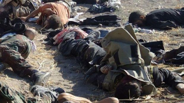 Mosul küçələrində terrorçu cəsədləri