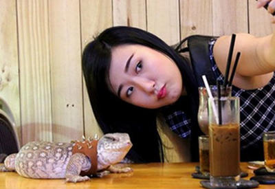 35 самых удивительных ресторанов мира, в которых должен поужинать каждый <span class="color_red">- ФОТО</span>