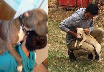 Собака отказывается отпускать человека, который спас ее <span class="color_red">- ФОТО</span>