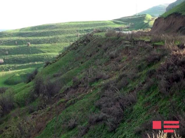 Cəlilabadda torpaq sürüşməsi yenidən aktivləşib