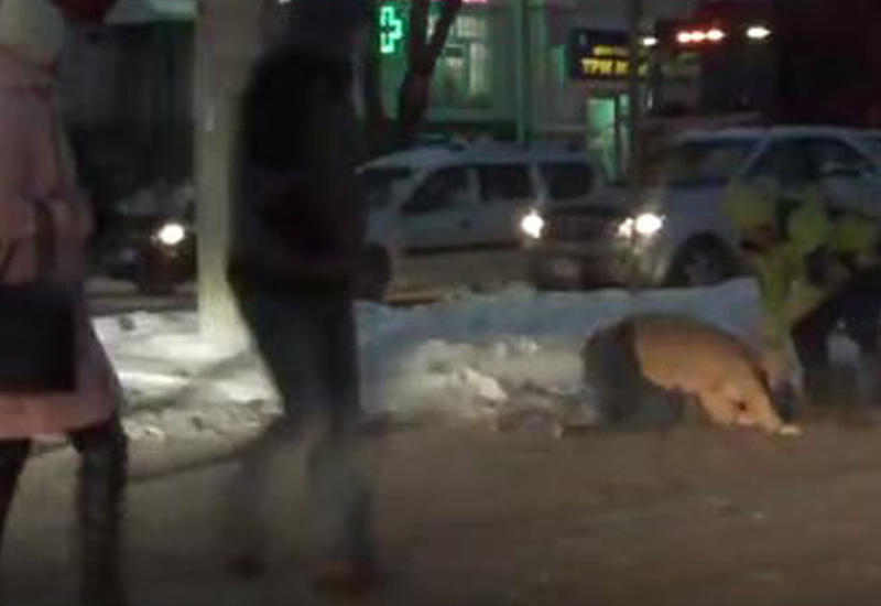 Ожесточенная схватка между водителем и пешеходом прямо на дороге в Перми