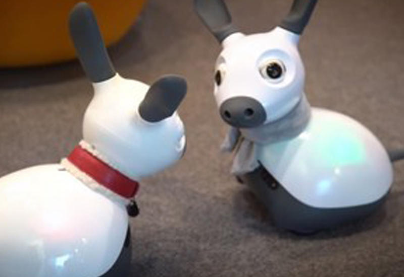 Робопес, который умеет думать и радоваться, создан в Британии