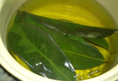 Страдаете от диабета? Просто вскипятите эти листья и проблема решится без лекарств!