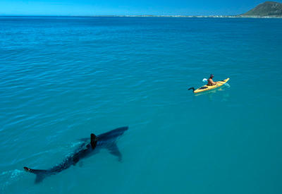Трудно поверить, но эти известные фото — не фотошоп <span class="color_red">- ФОТО</span>