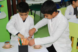 "Uşaqlar üçün ekoloji laboratoriya" çərçivəsində növbəti təlim keçirilib