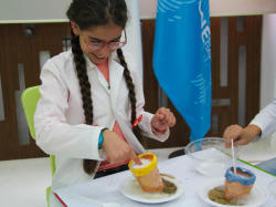 "Uşaqlar üçün ekoloji laboratoriya" çərçivəsində növbəti təlim keçirilib