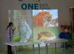 "Uşaqlar üçün ekoloji laboratoriya" çərçivəsində növbəti təlim keçirilib